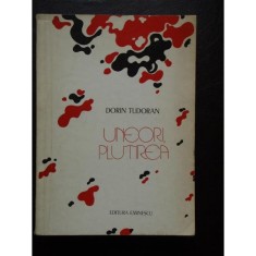 Uneori, plutirea - Dorin Tudoran