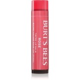 Burt&rsquo;s Bees Tinted Lip Balm balsam de buze culoare Rose 4.25 g