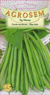 FASOLE URCATOARE VERDE BLUE LAKE, 10g foto