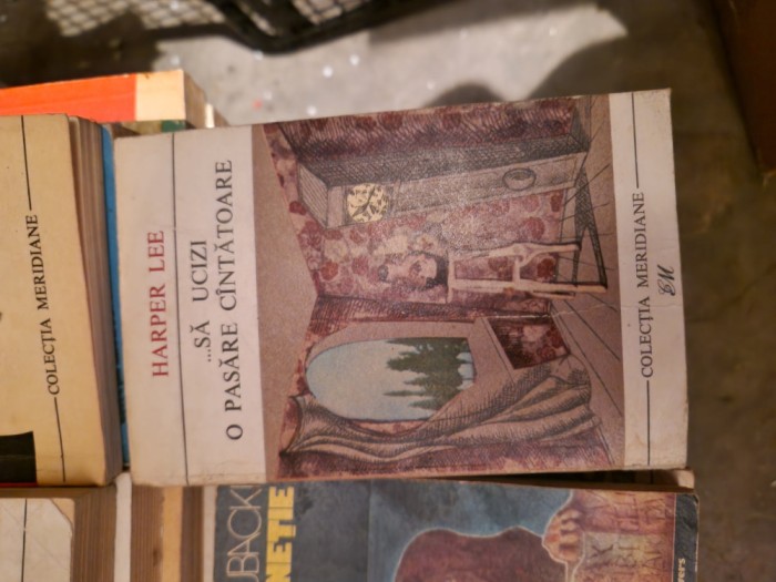 Să ucizi o pasăre c&acirc;ntătoare vintage