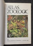 ATLAS ZOOLOGIC - Bogoescu