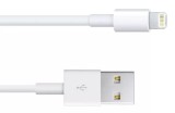 Cablu iPhone iPad 3 mini iPad iPod Touch 1m