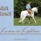 Lessons in Lightness: Expanded Edition