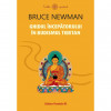 Ghidul incepatorului in budismul tibetan - Bruce Newman, Paralela 45
