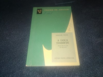 DRAGOS VICOL - A DOUA TINERETE foto
