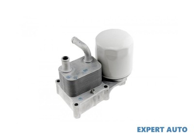 Suport filtru ulei + termoflot Ford Tourneo Connect (2002-2013) #1 foto