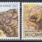 Mozambic 2010 - WWF - Ground Pangolin, MNH