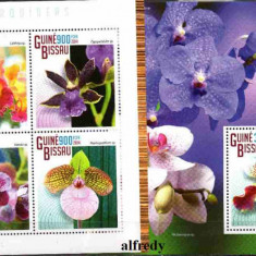 Guineea Bissau 2014, Flora, Orhidee, serie neuzată, MNH