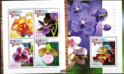 Guineea Bissau 2014, Flora, Orhidee, serie neuzată, MNH foto