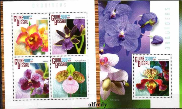 Guineea Bissau 2014, Flora, Orhidee, serie neuzată, MNH