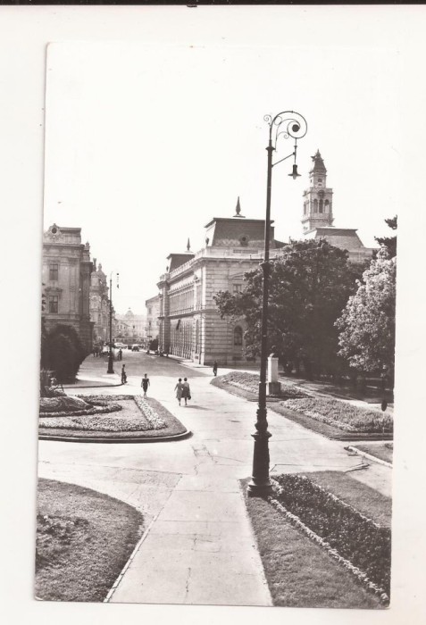 RF104 - Carte Postala - Arad, necirculata