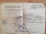 1946, Adeverință supus albanez, MAI, Controlul străinilor, Albania, recensăm&acirc;nt