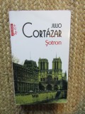 Julio Cortazar - Sotron