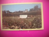 HOPCT 8217 MEMORIALUL FRANKLIN ROOSEVELT -HYDE PARK NY - -SUA-AMERICA DE NORD -NECIRCULATA-
