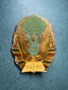 Insigna Scoala de aviatie promotia 1944 Zilistea Buzau 1942 - 1987 aniversara 45 ani