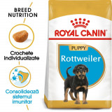 Royal Canin Rottweiler Puppy hrană uscată c&acirc;ine junior, 12kg