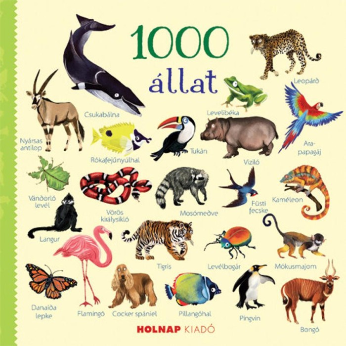 1000 &aacute;llat