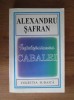 Intelepciunea Cabalei - Alexandru Safran, Editura Hasefer, Mistica Iudaica, Kabbalah, Evrei
