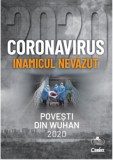 Coronavirus 2020 - Inamicul nevazut |, Corint