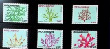 Mozambic 1983 - Flora-fauna marina, serie neuzata