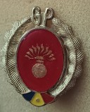 QW14 - Emblema militara - Comunism - Garzi patriotice - piesa de colectie