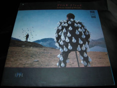 Disc vinil dublu PINK FLOYD - Delicate Sound Of Thunder (1988), productie Rusia foto