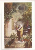 FA93 -Carte Postala- GERMANIA - Carl Spitzweg, Der Kakteenfreund, necirculata, Fotografie