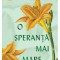 O Speranta Mai Mare, Ilse Aichinger - Editura Art