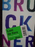 Pascal Bruckner - Luni de fiere (Editia: 2011)