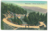 4105 - MARAMURES, Pasul Prislop, Romania - old postcard - unused, Necirculata, Printata