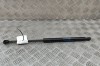 Amortizor haion dreapta HONDA CIVIC X Hatchback FC_, FK 2018 OEM: 74820-TGHA-A010-M1 27304048