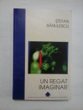 Un regat imaginar - Stefan Banulescu