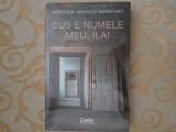 Sus e numele meu, Ila - de Andreea Ionescu-Berechet