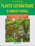 Plante cataratoare si arbusti murali | David Squire