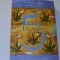 Don Miguel Ruiz, Don Jose Ruiz - AL CINCILEA LEGAMANT ( 2010 )
