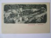 Carte postala Băile Herculane/Herkulesbad,necirculata cca.1900, Fotografie, Baile Herculane