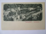 Carte postala Băile Herculane/Herkulesbad,necirculata cca.1900, Fotografie, Baile Herculane