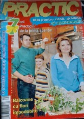 revista PRACTIC idei pentru casă, grădină și apartament - aprilie 2006
