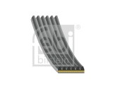 FEBI BILSTEIN 184927 Curea transmisie cu caneluri