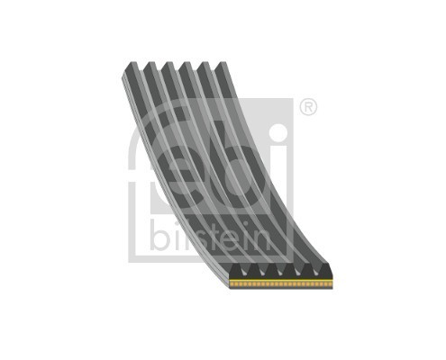 FEBI BILSTEIN 184927 Curea transmisie cu caneluri