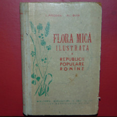 FLORA MICA ILUSTRATA A R.P.R. -I.PRODAN/AL.BUIA ANUL 1958