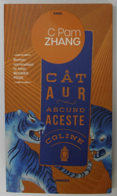 CAT AUR ASCUND ACESTE COLINE de C PAM ZHANG ,roman , 2021 foto