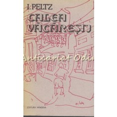 Calea Vacaresti - I. Peltz