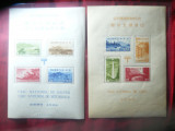 2 Blocuri Japonia 1938 si 1939 Parcuri Nationale cu Etui de prezentare fiecare, Nestampilat