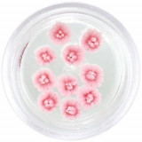 Decorațiuni nail art - flori acrilice, roz deschis, INGINAILS