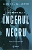 Juan Gomez Jurado - Ingerul Negru, Bookzone