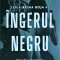 Juan Gomez Jurado - Ingerul Negru