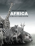 WILD ANIMALS - Arica in Black and White: black-and-white photo album for nature and animal lovers