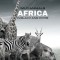 WILD ANIMALS - Arica in Black and White: black-and-white photo album for nature and animal lovers