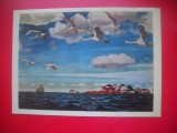 HOPCT 23672 ZAREA ALBASTRA- ARKADY RYLOV 1870-1939 - RUSIA --MUZEE - CP PICTURA --NECIRCULATAMUNTII